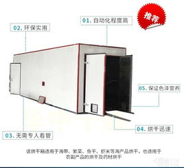 果蔬烘干機 現(xiàn)代家庭營養(yǎng)與便捷的守護者