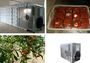 夏季果蔬專用干燥機 高效節能，助力果蔬加工產業升級