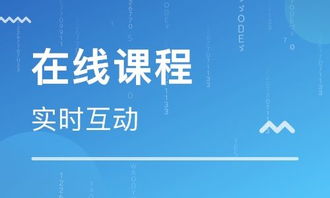 思鴻集團(tuán) 深耕職業(yè)教育市場(chǎng)，打造在線職業(yè)教育培訓(xùn)專業(yè)平臺(tái)與軟件開(kāi)發(fā)